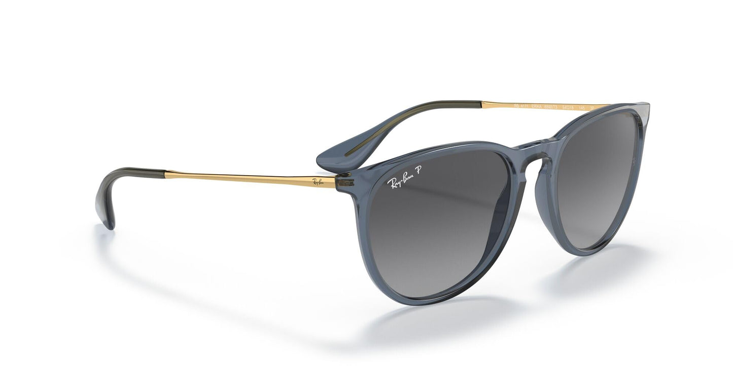 Ray-Ban Erika Sunglasses