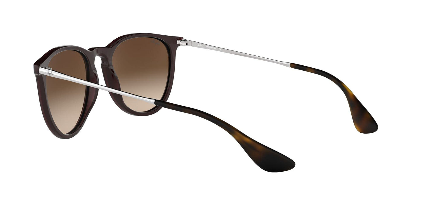 Ray-Ban Erika Sunglasses