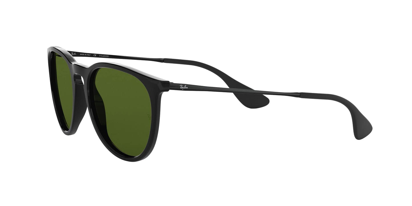 Ray-Ban Erika Sunglasses