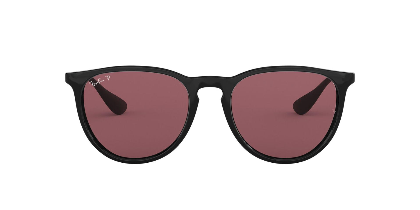 Ray-Ban Erika Sunglasses