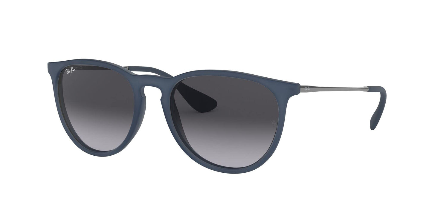 Ray-Ban Erika Sunglasses