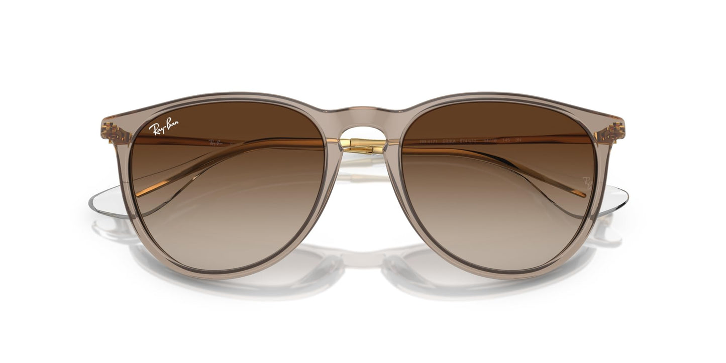 Ray-Ban Erika Sunglasses