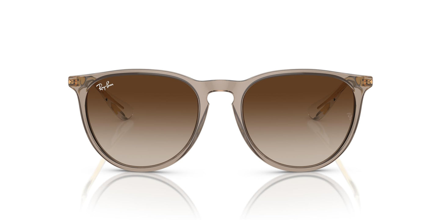 Ray-Ban Erika Sunglasses