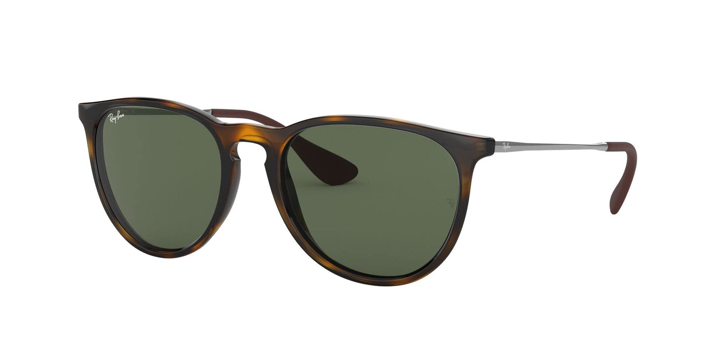 Ray-Ban Erika Sunglasses