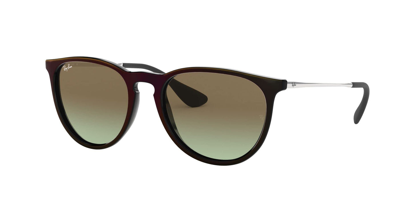 Ray-Ban Erika Sunglasses