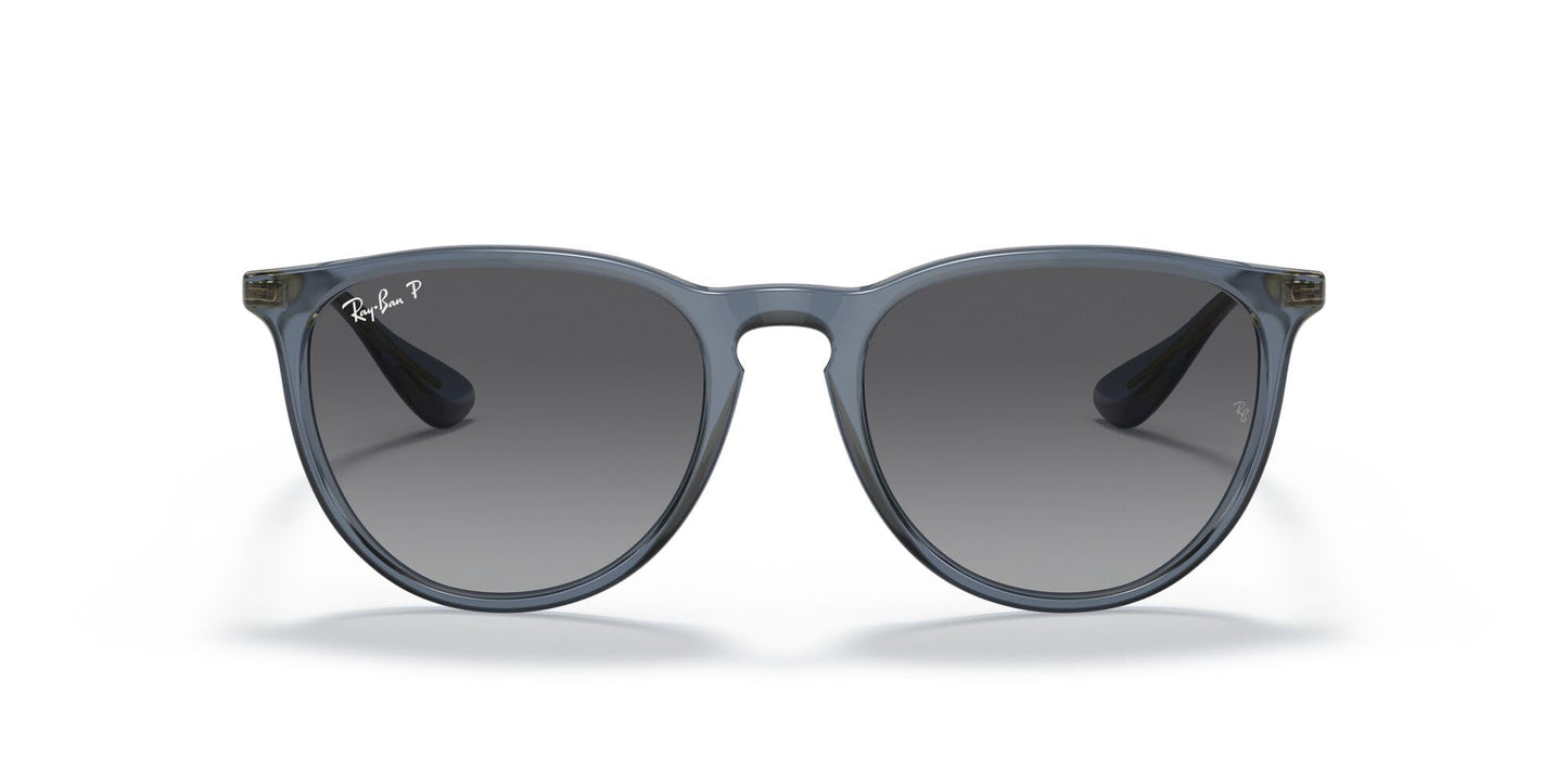 Ray-Ban Erika Sunglasses