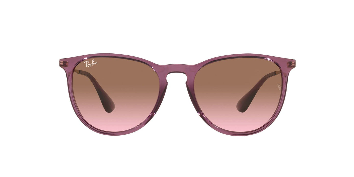 Ray-Ban Erika Sunglasses