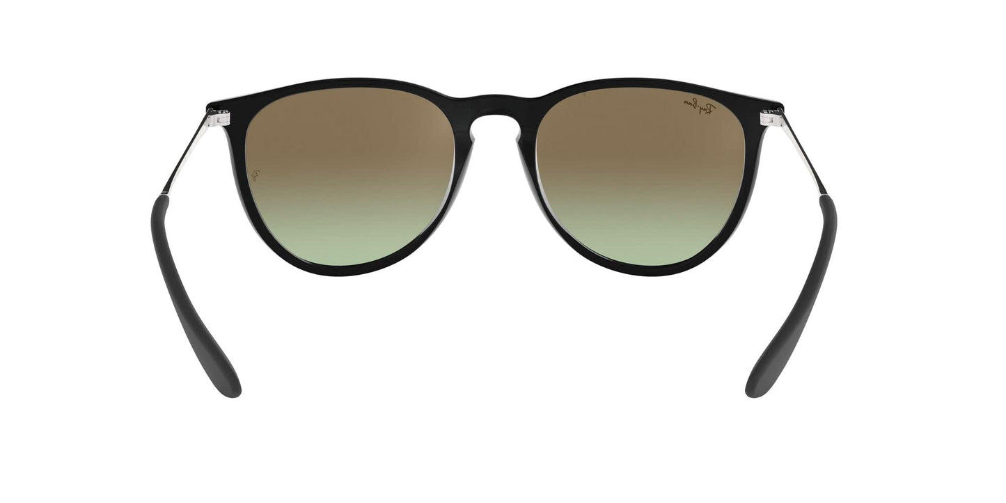 Ray-Ban Erika Sunglasses