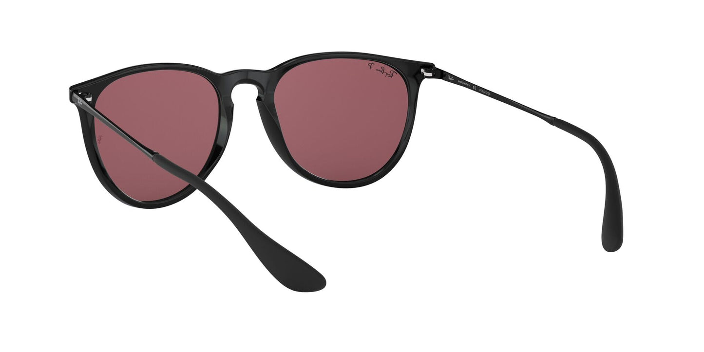 Ray-Ban Erika Sunglasses