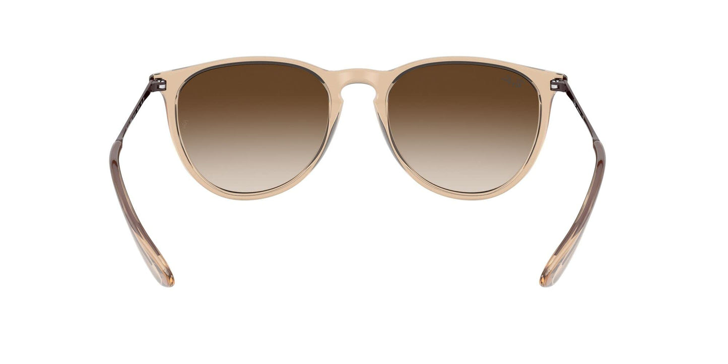 Ray-Ban Erika Sunglasses