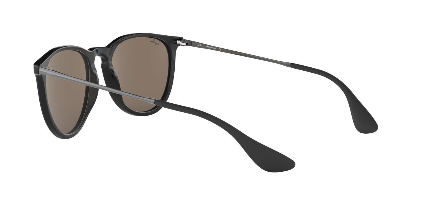 Ray-Ban Erika Sunglasses