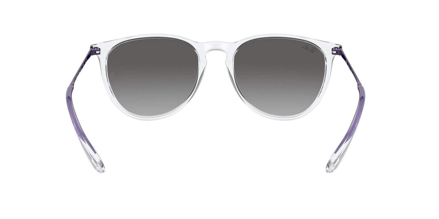 Ray-Ban Erika Sunglasses