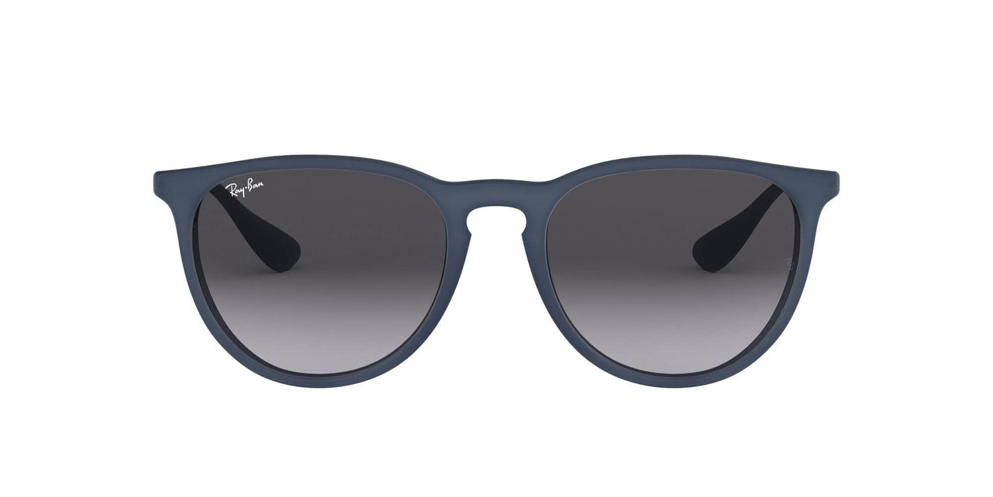 Ray-Ban Erika Sunglasses