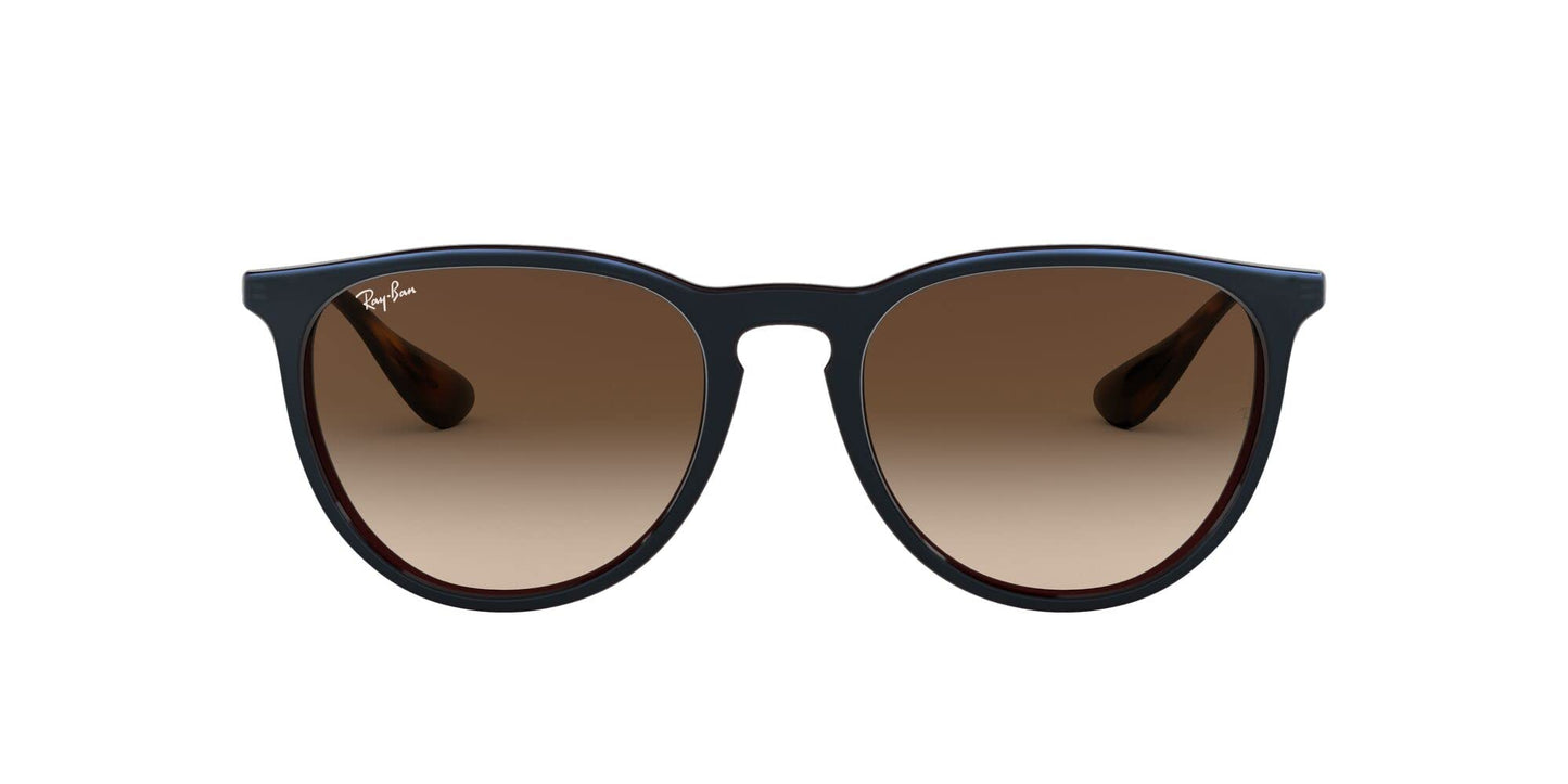 Ray-Ban Erika Sunglasses