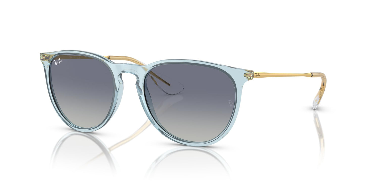 Ray-Ban Erika Sunglasses