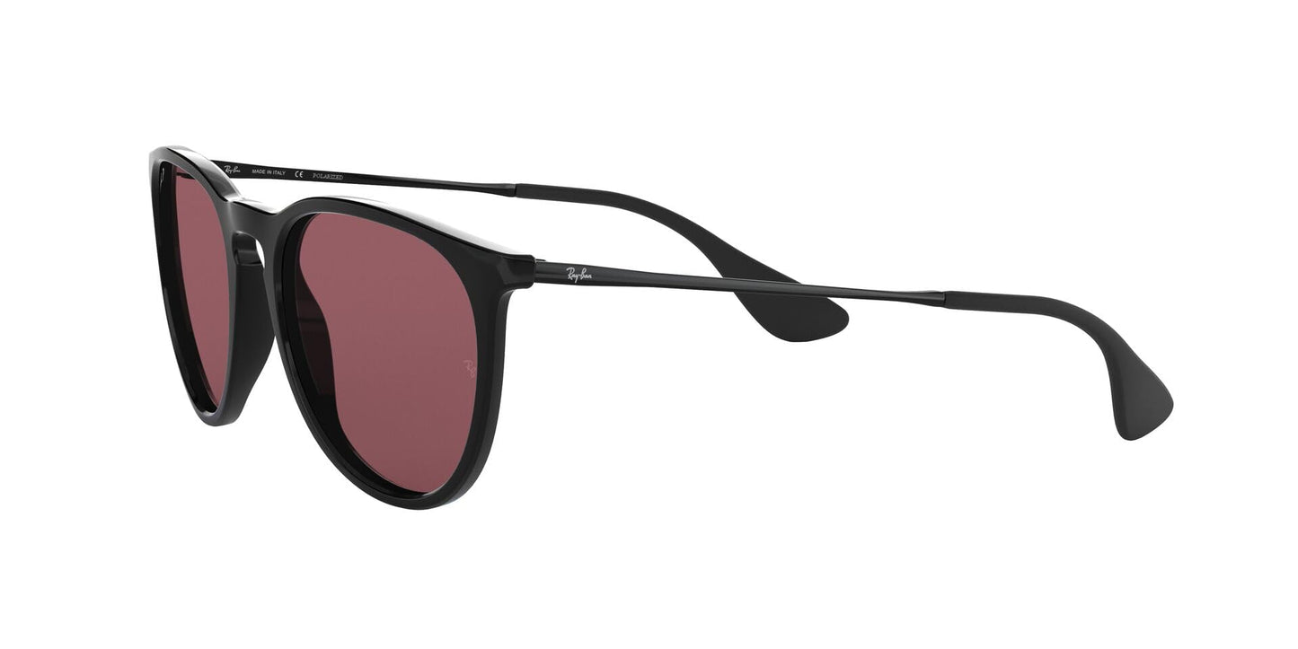 Ray-Ban Erika Sunglasses