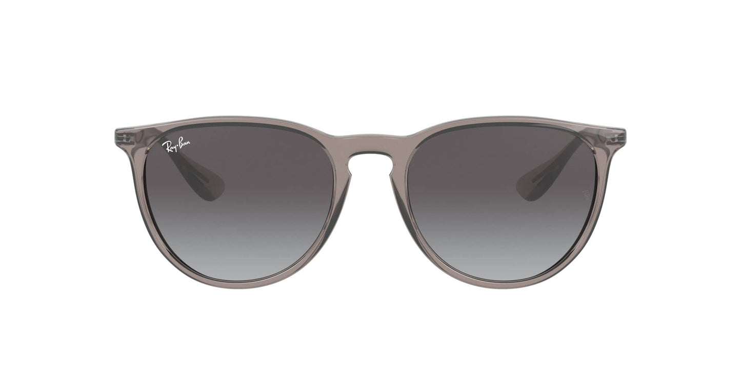 Ray-Ban Erika Sunglasses