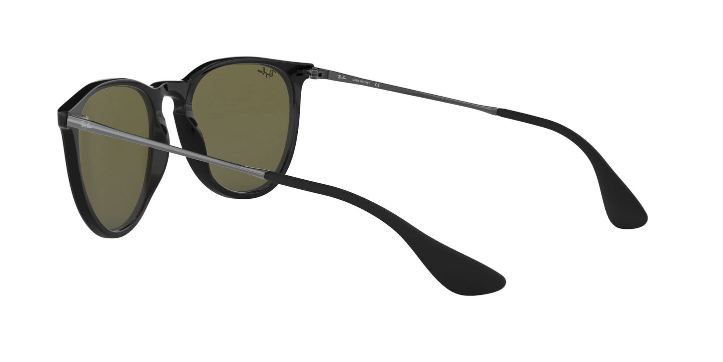 Ray-Ban Erika Sunglasses