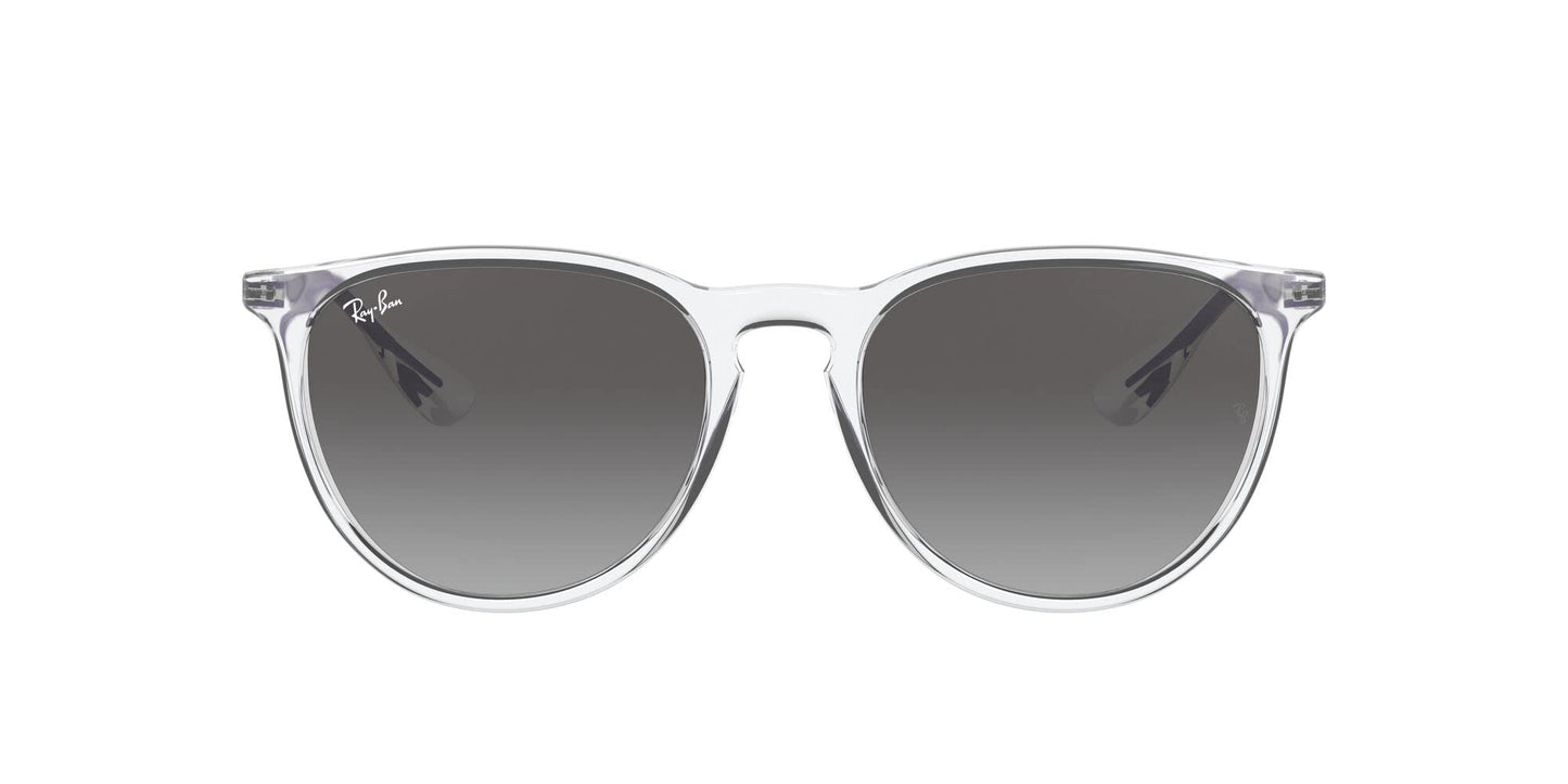 Ray-Ban Erika Sunglasses