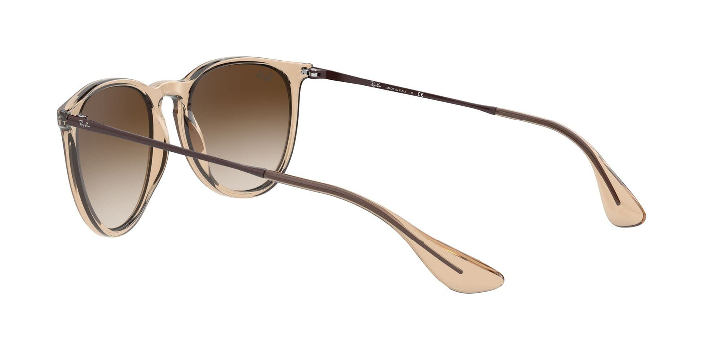 Ray-Ban Erika Sunglasses