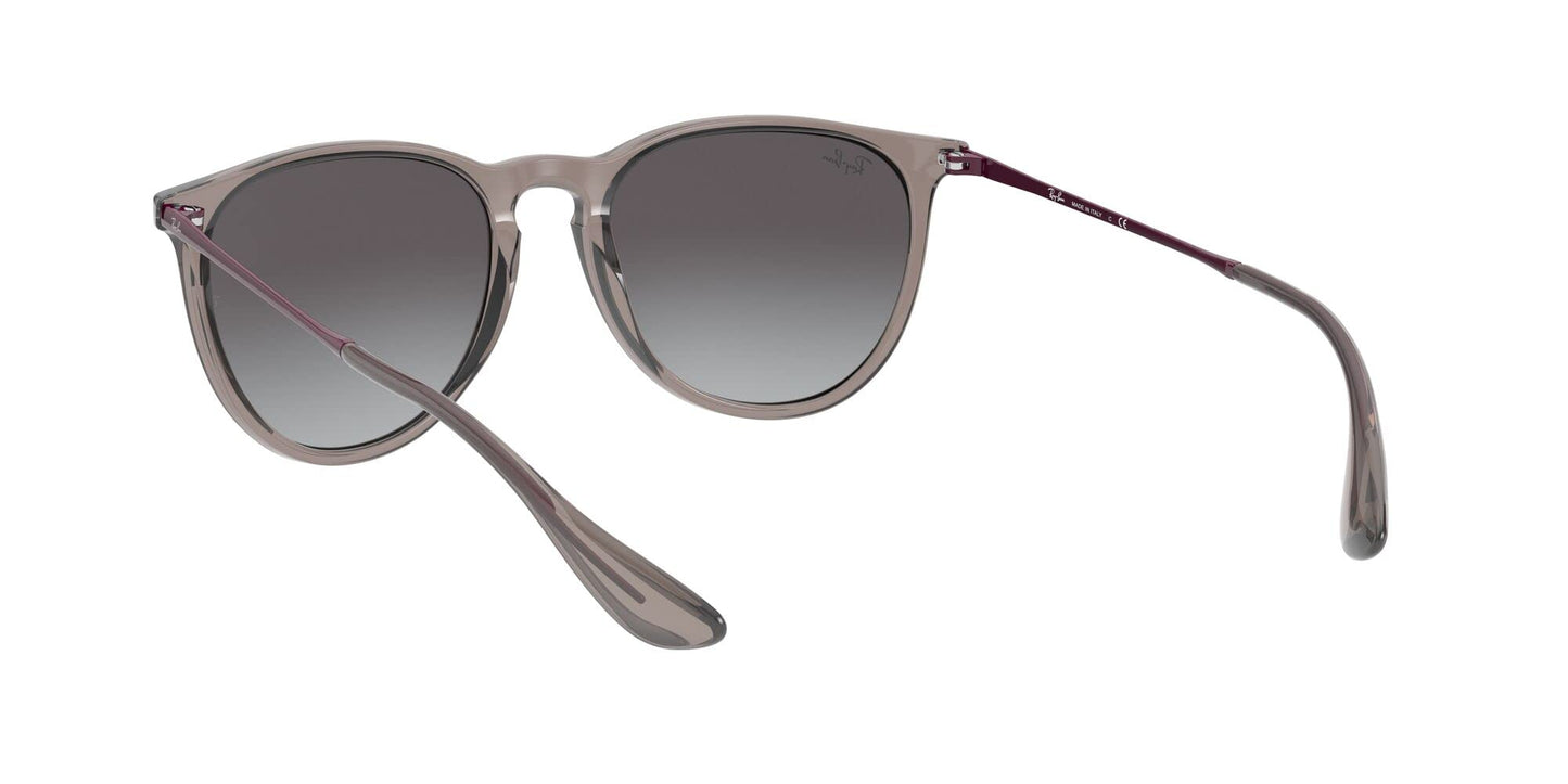 Ray-Ban Erika Sunglasses