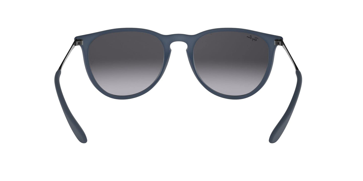 Ray-Ban Erika Sunglasses