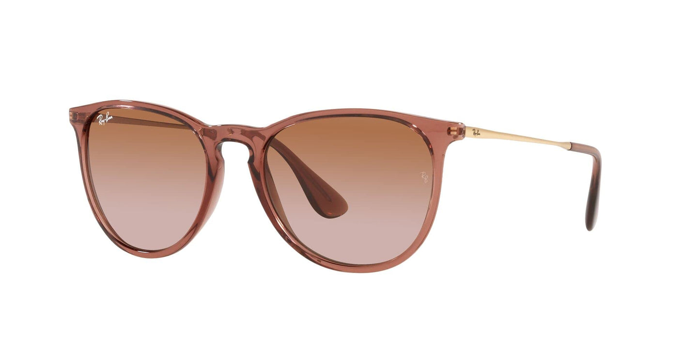 Ray-Ban Erika Sunglasses