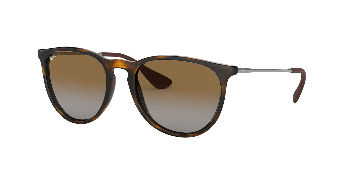 Ray-Ban Erika Sunglasses