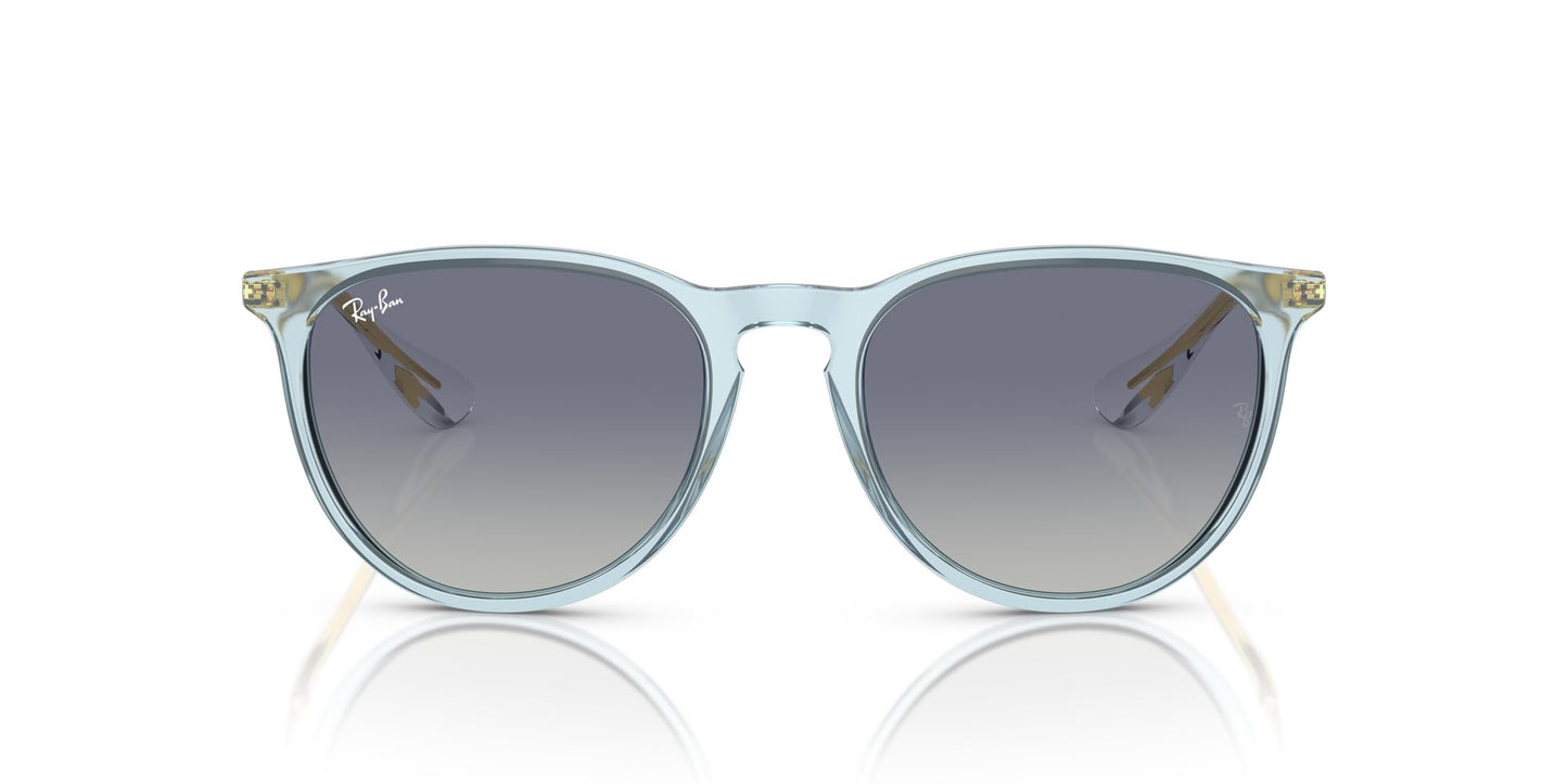 Ray-Ban Erika Sunglasses