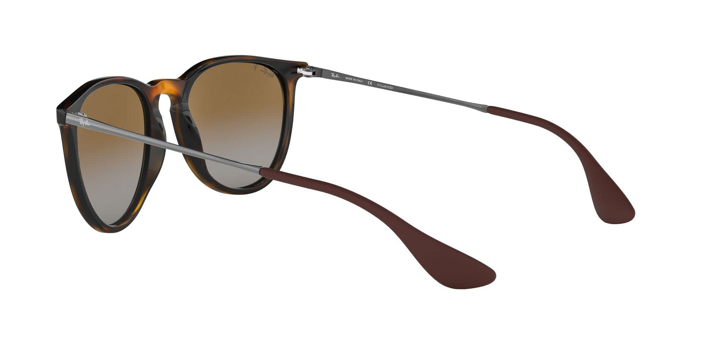 Ray-Ban Erika Sunglasses