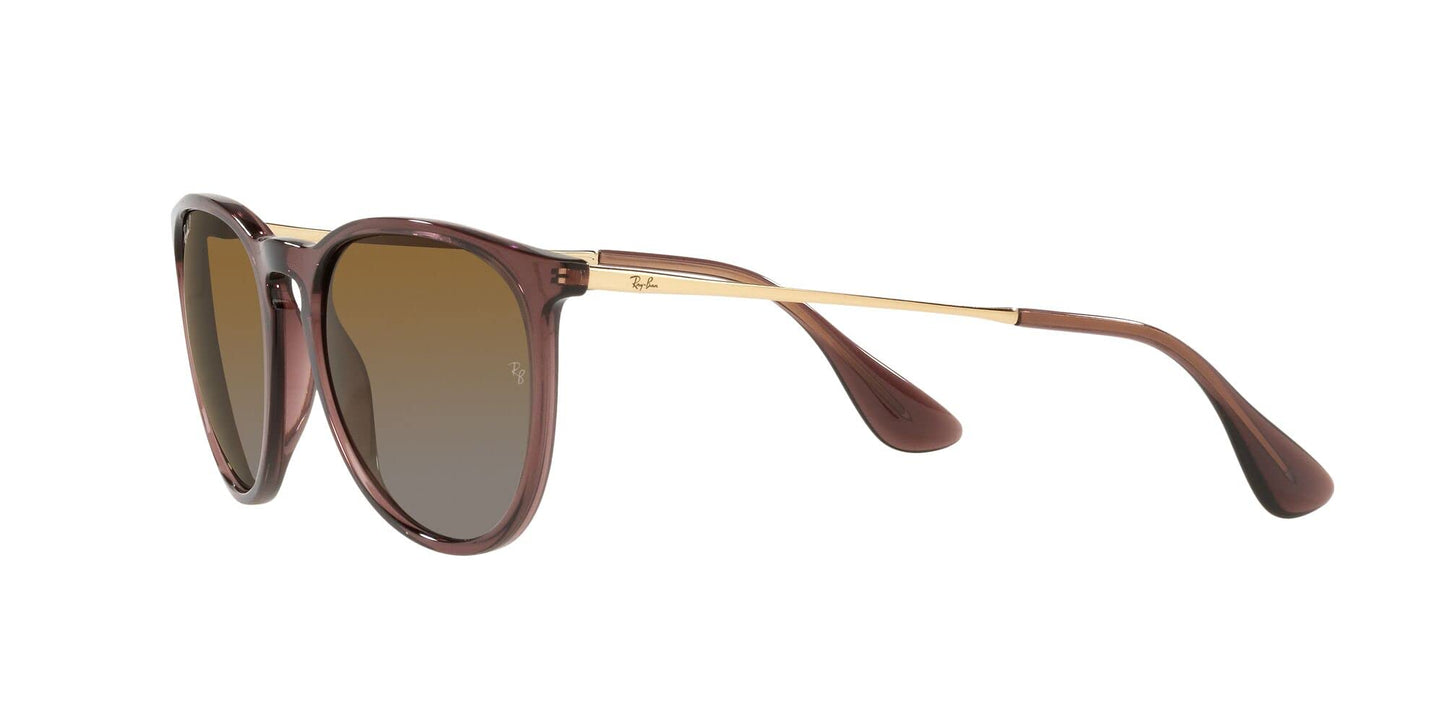 Ray-Ban Erika Sunglasses