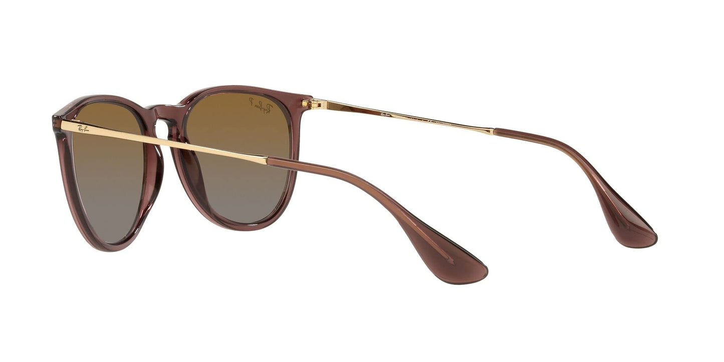 Ray-Ban Erika Sunglasses