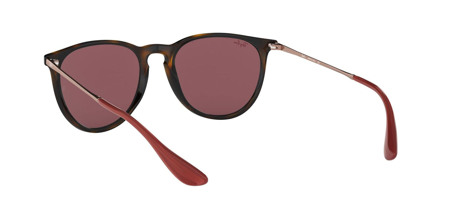 Ray-Ban Erika Sunglasses