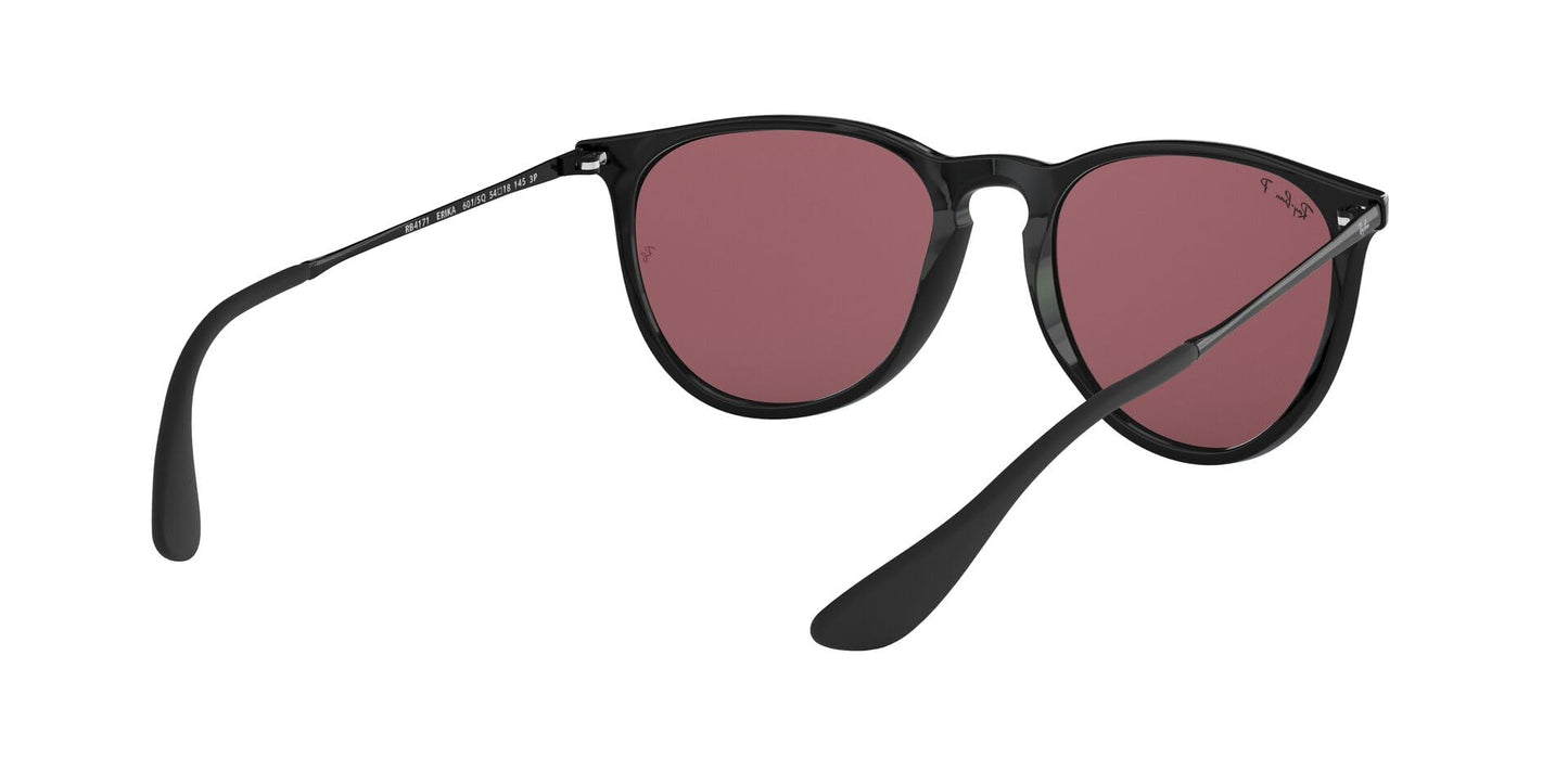 Ray-Ban Erika Sunglasses