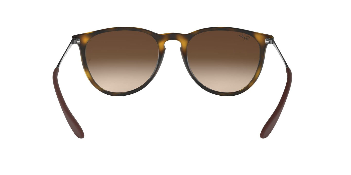 Ray-Ban Erika Sunglasses