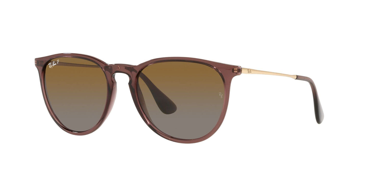 Ray-Ban Erika Sunglasses