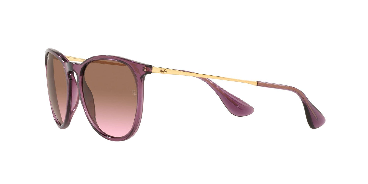 Ray-Ban Erika Sunglasses