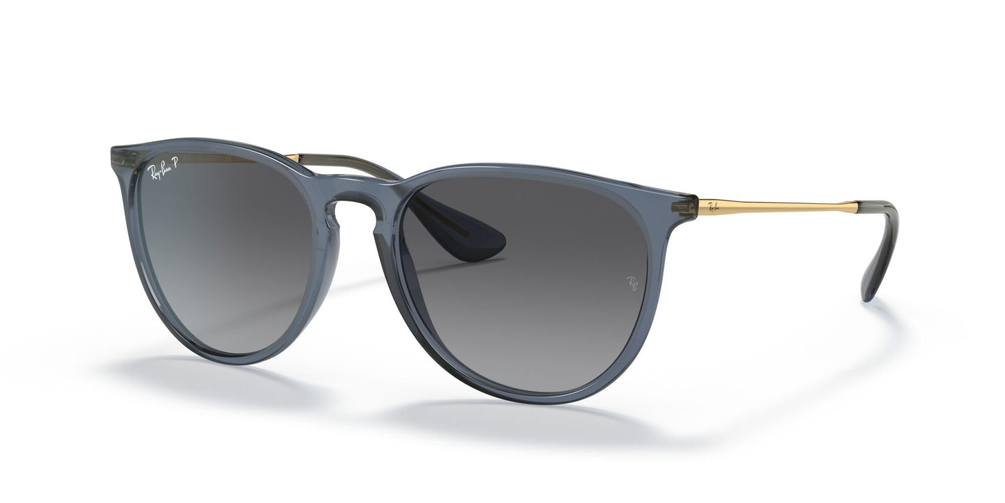 Ray-Ban Erika Sunglasses