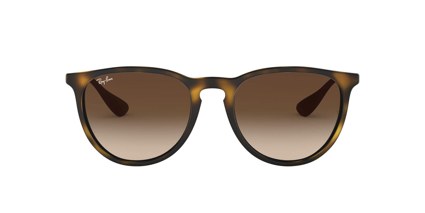 Ray-Ban Erika Sunglasses