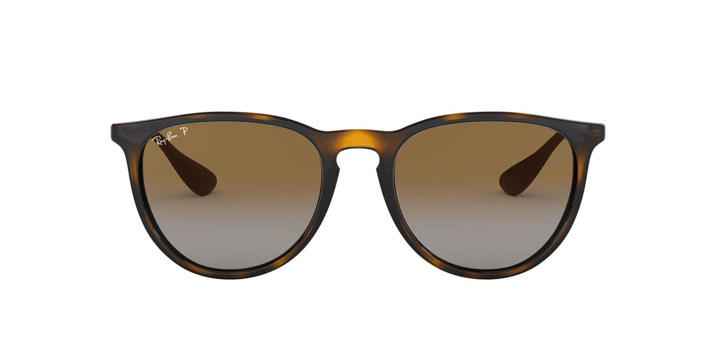 Ray-Ban Erika Sunglasses