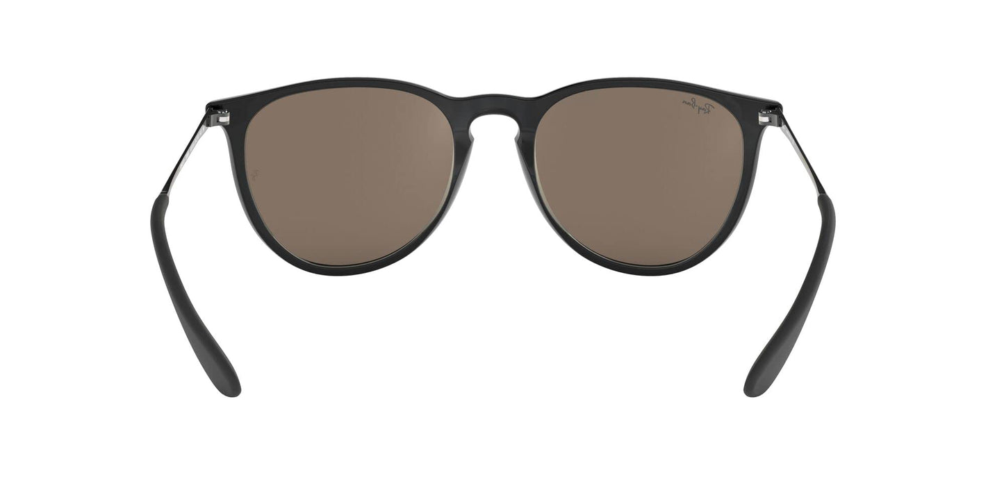 Ray-Ban Erika Sunglasses