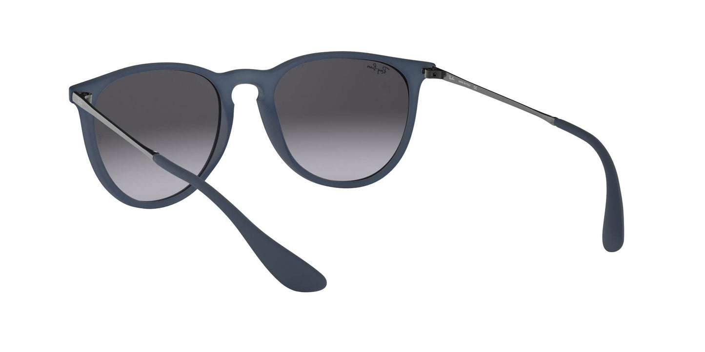 Ray-Ban Erika Sunglasses