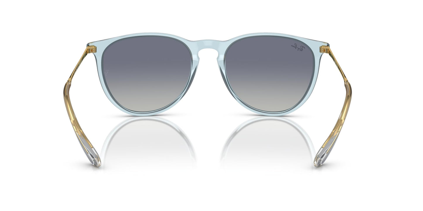 Ray-Ban Erika Sunglasses