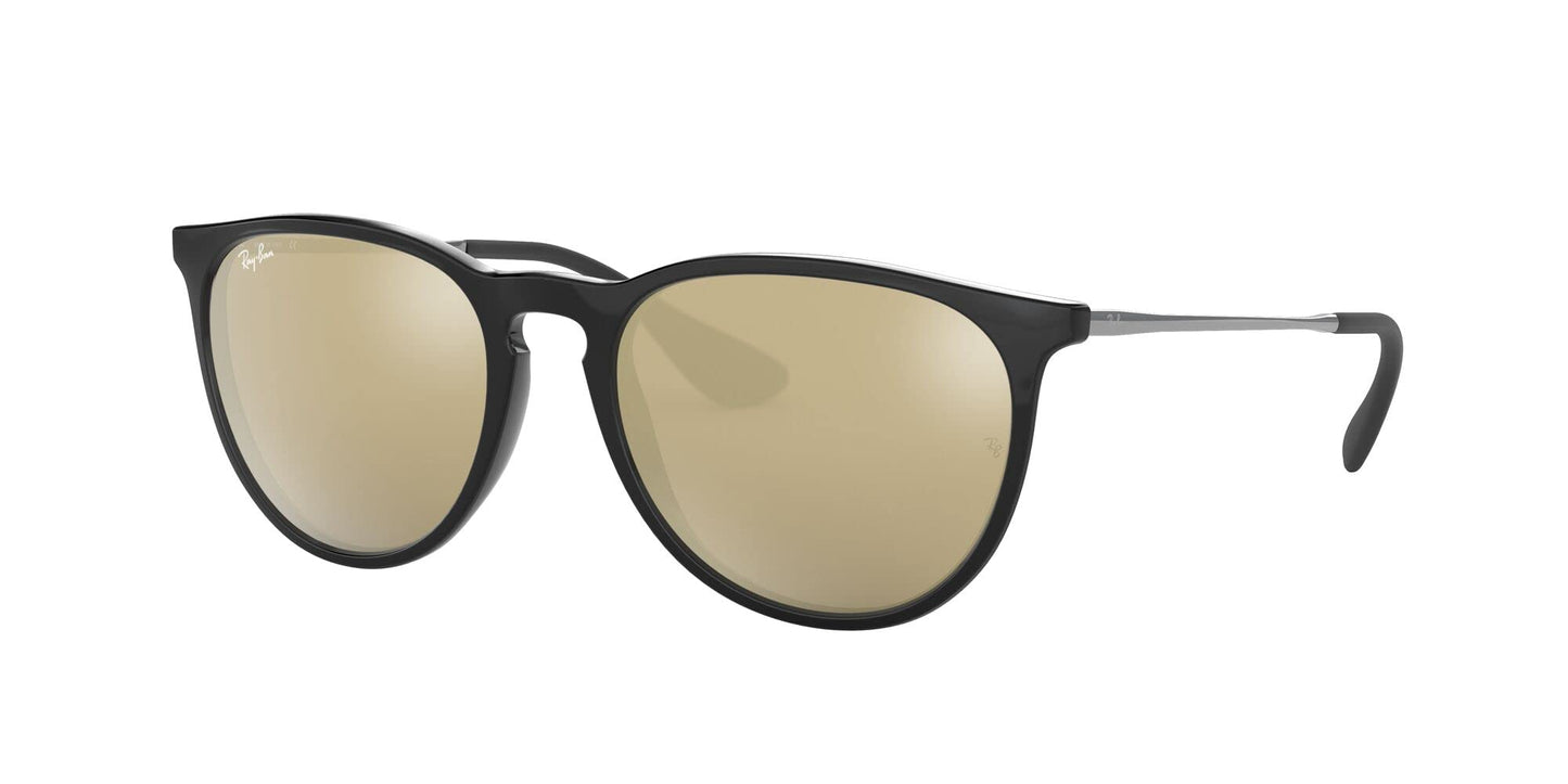 Ray-Ban Erika Sunglasses