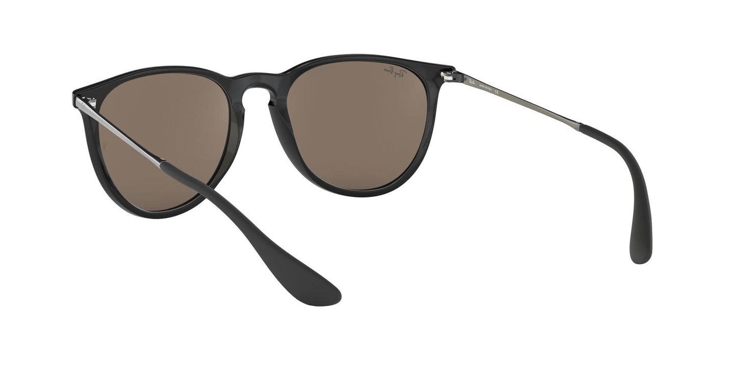 Ray-Ban Erika Sunglasses