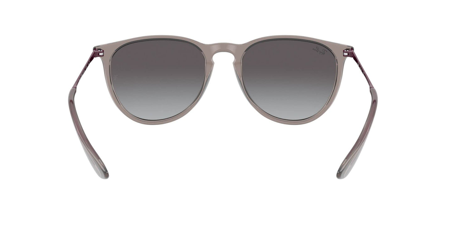 Ray-Ban Erika Sunglasses