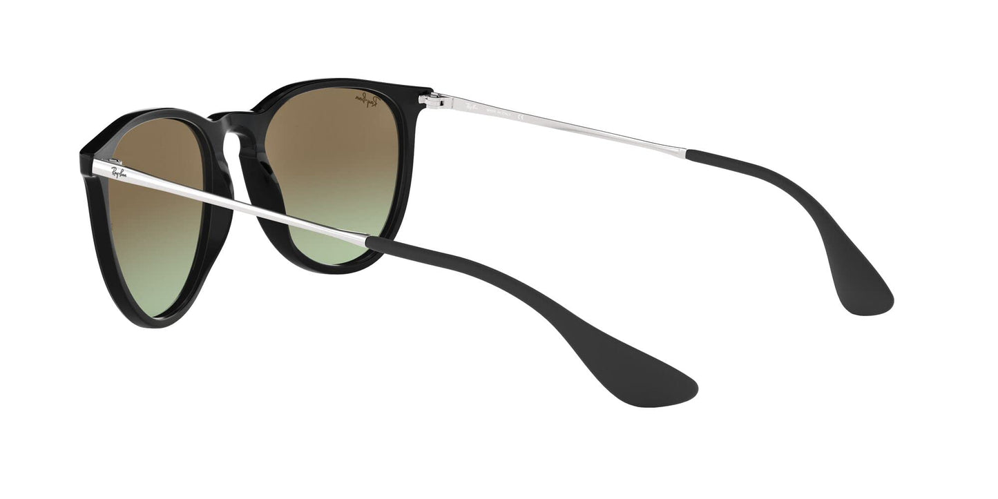 Ray-Ban Erika Sunglasses