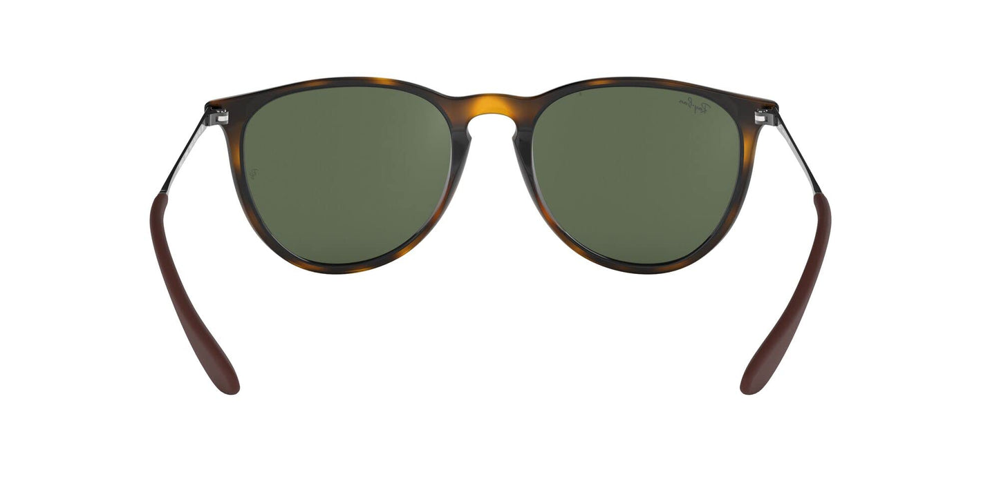 Ray-Ban Erika Sunglasses