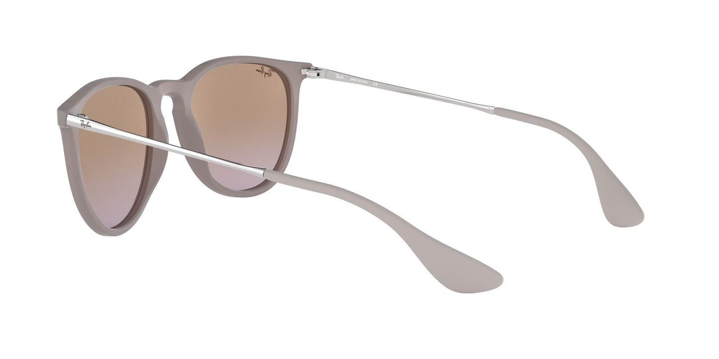 Ray-Ban Erika Sunglasses