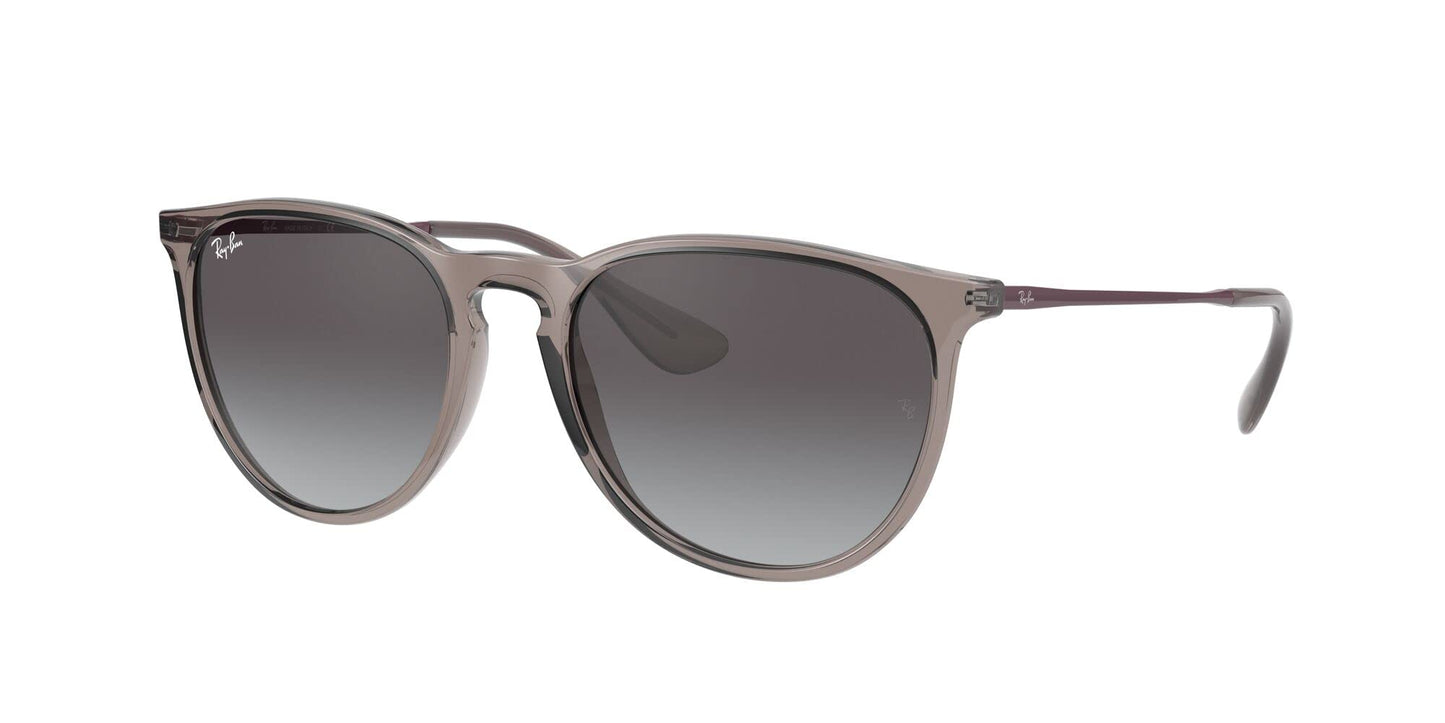 Ray-Ban Erika Sunglasses